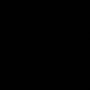 Meet your Posher, Carter